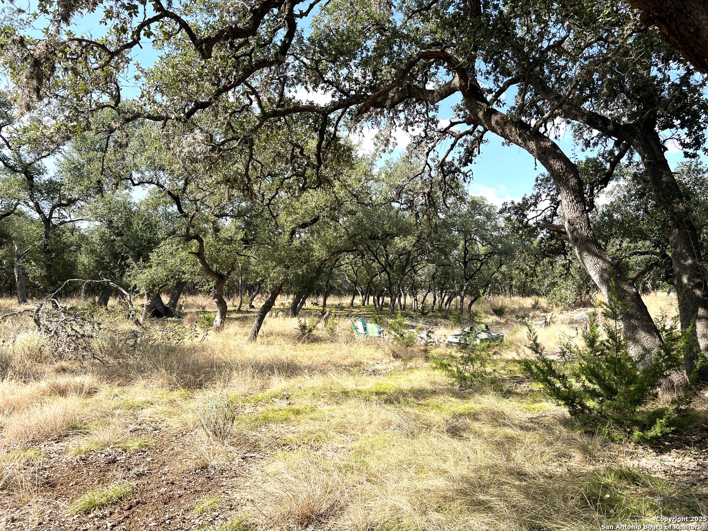 630 Indian Mound Tarpley TX 78883
