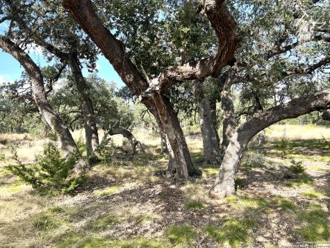 630 Indian Mound Tarpley TX 78883