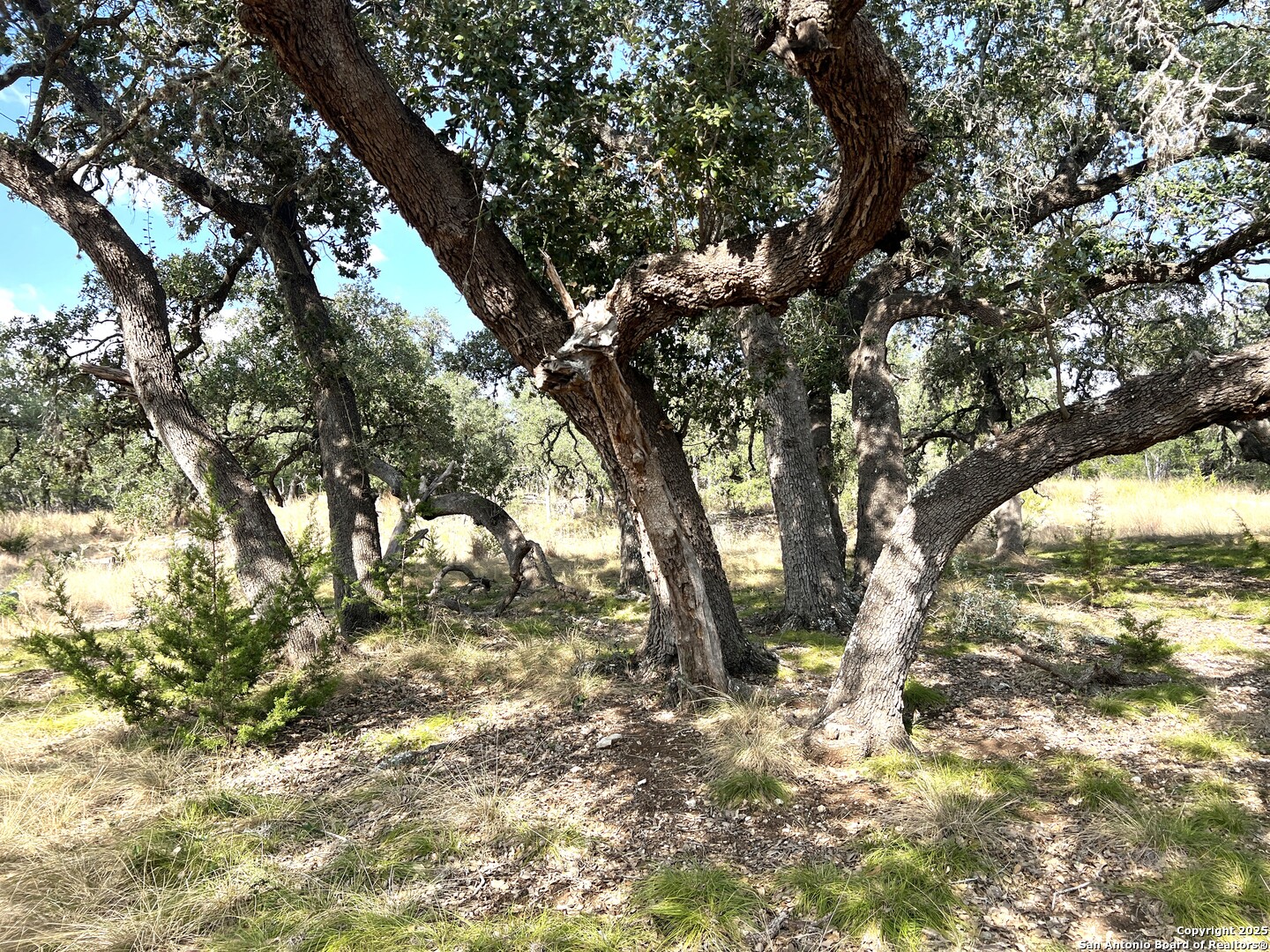 630 Indian Mound Tarpley TX 78883