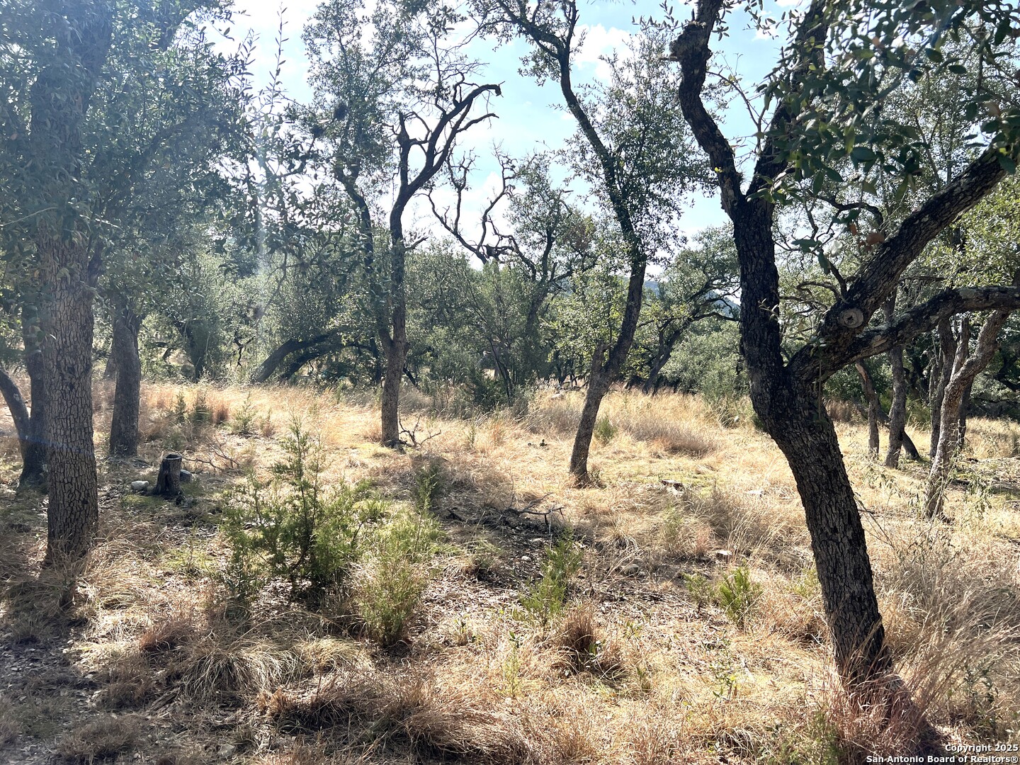 630 Indian Mound Tarpley TX 78883