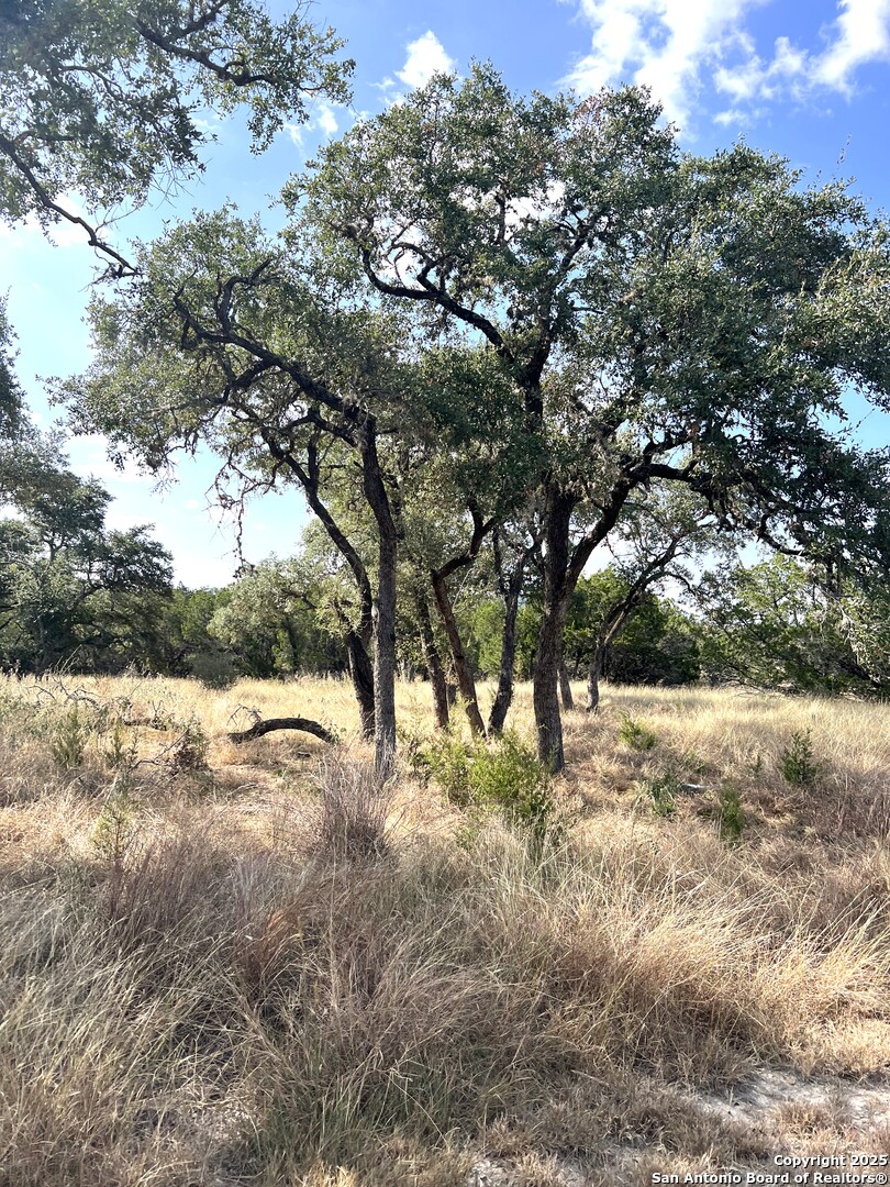 630 Indian Mound Tarpley TX 78883