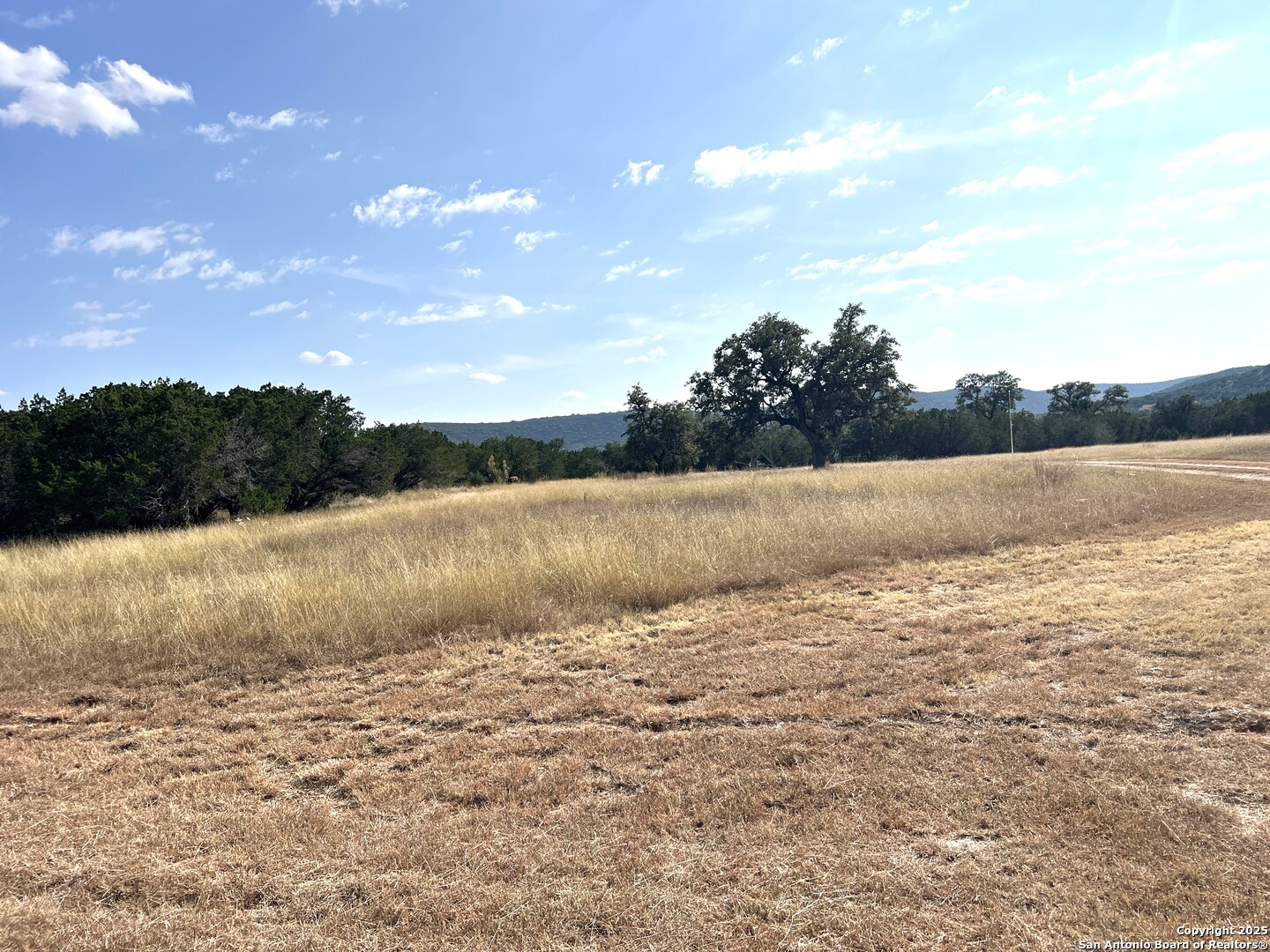 630 Indian Mound Tarpley TX 78883