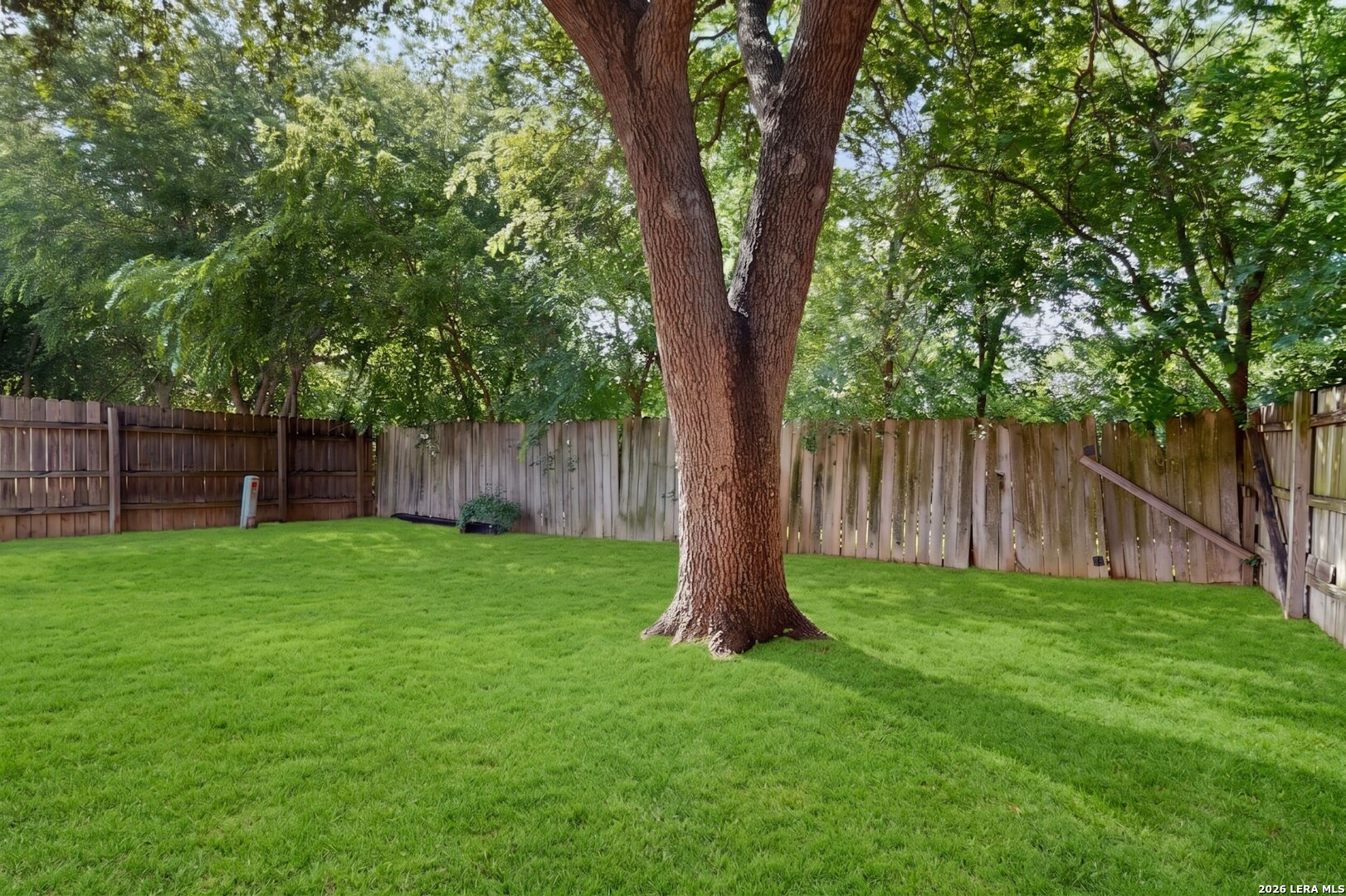 5558 Kissing Oak San Antonio TX 78247