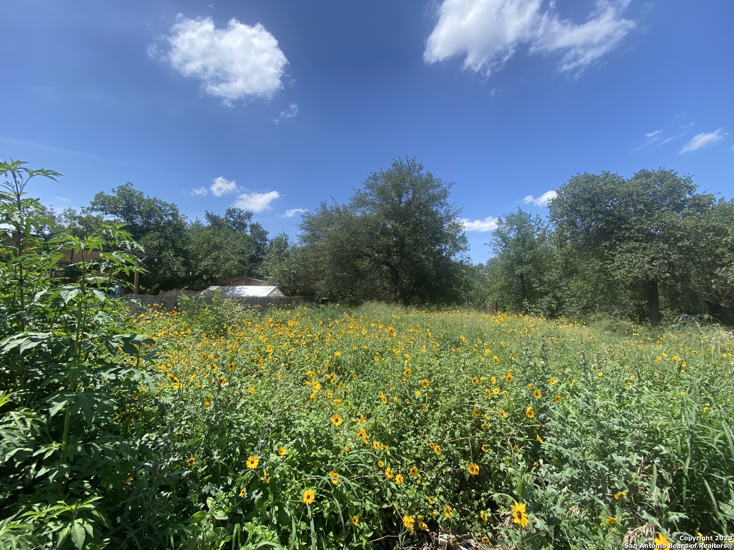 1335 Memorial Lane San Antonio TX 78264