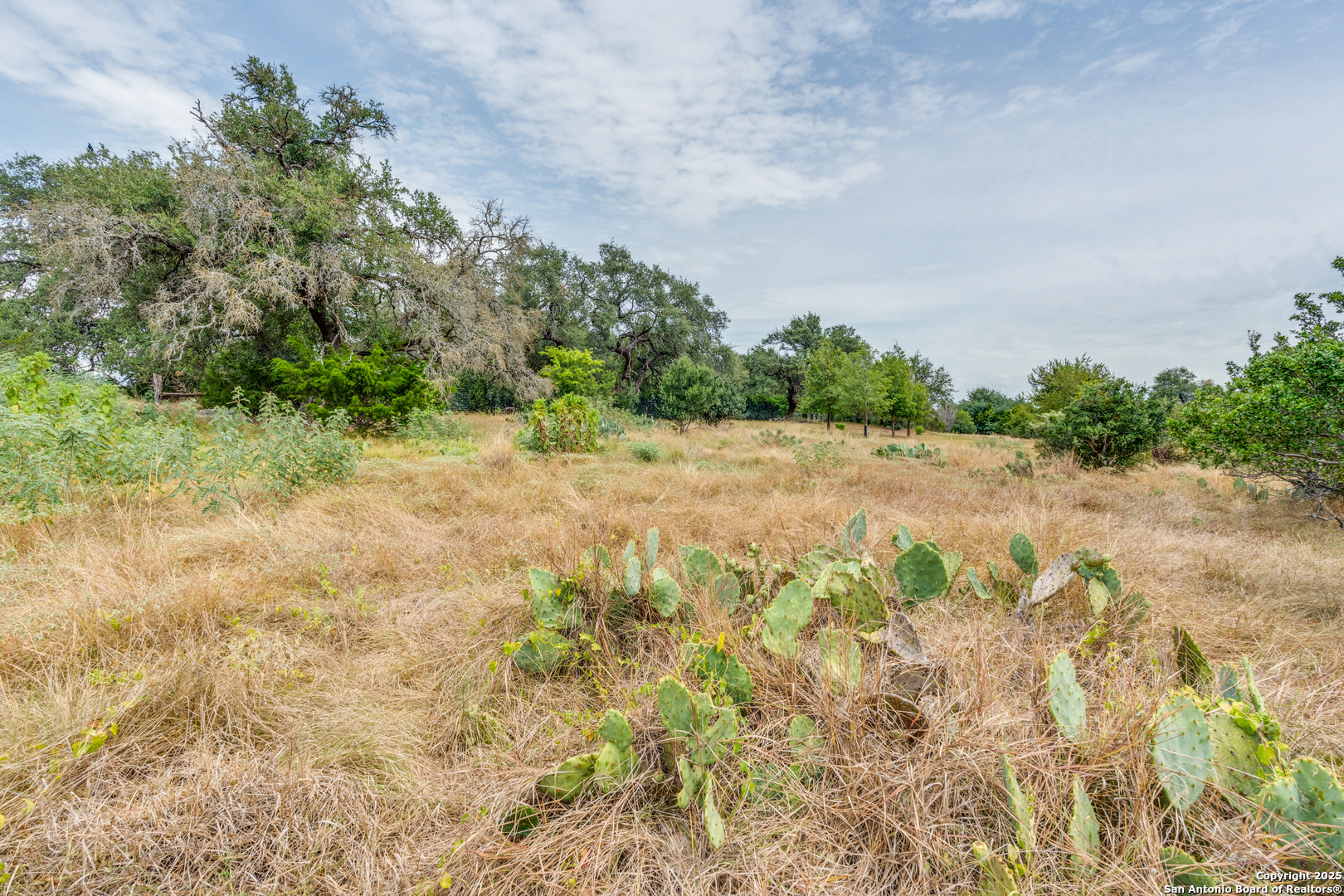 2218 Pinot Blanc New Braunfels TX 78132