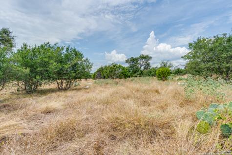 2218 Pinot Blanc New Braunfels TX 78132