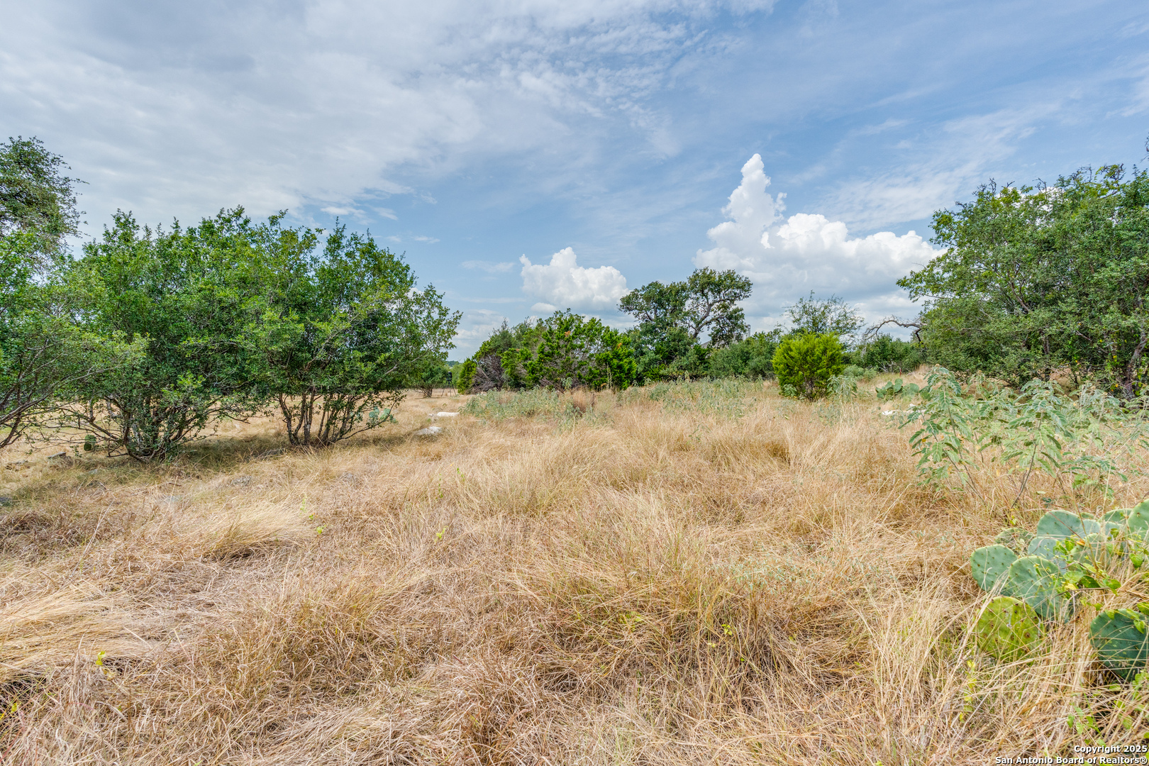 2218 Pinot Blanc New Braunfels TX 78132