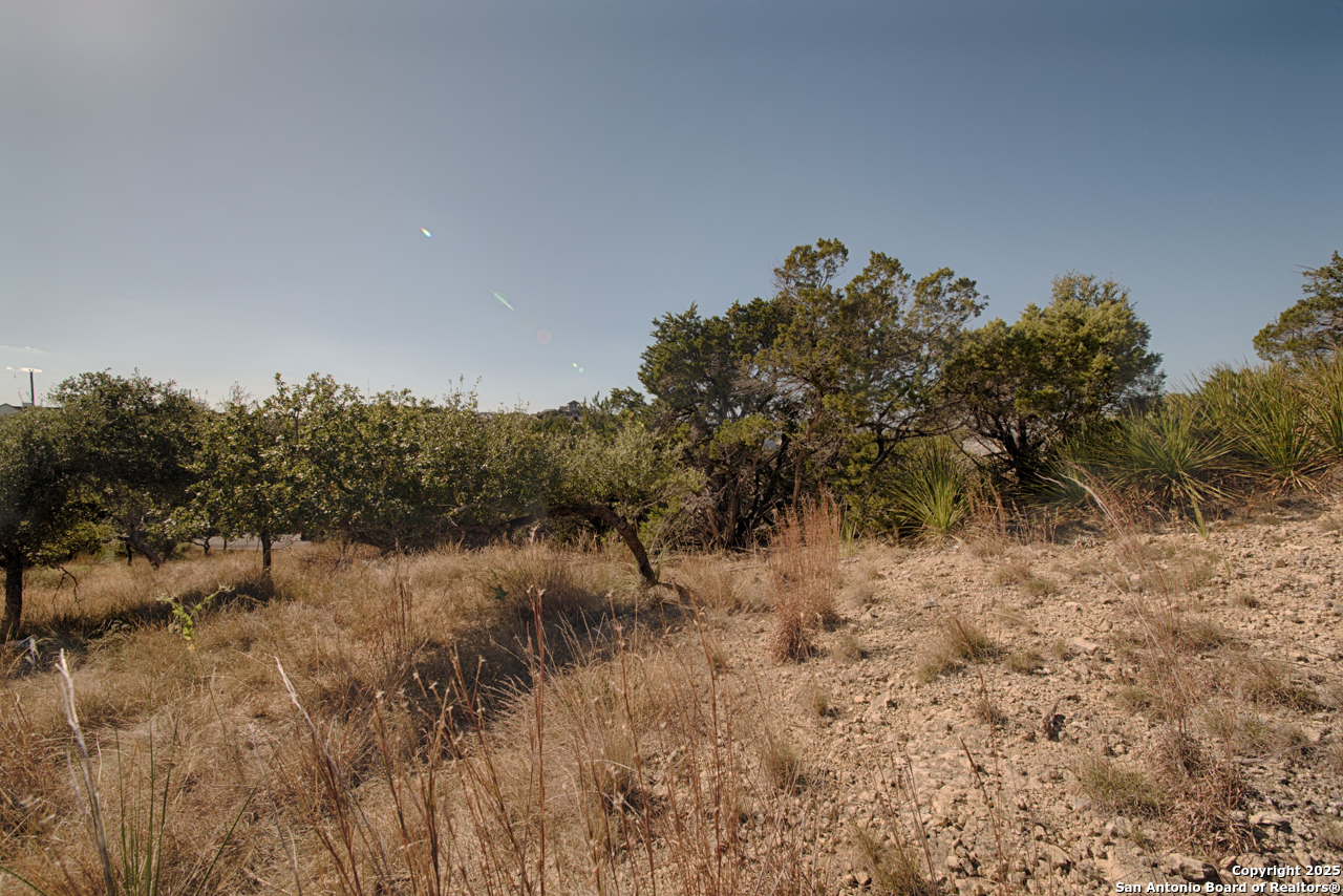 354 Ledgeview Drive Canyon Lake TX 78133