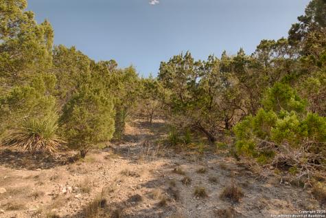 354 Ledgeview Drive Canyon Lake TX 78133