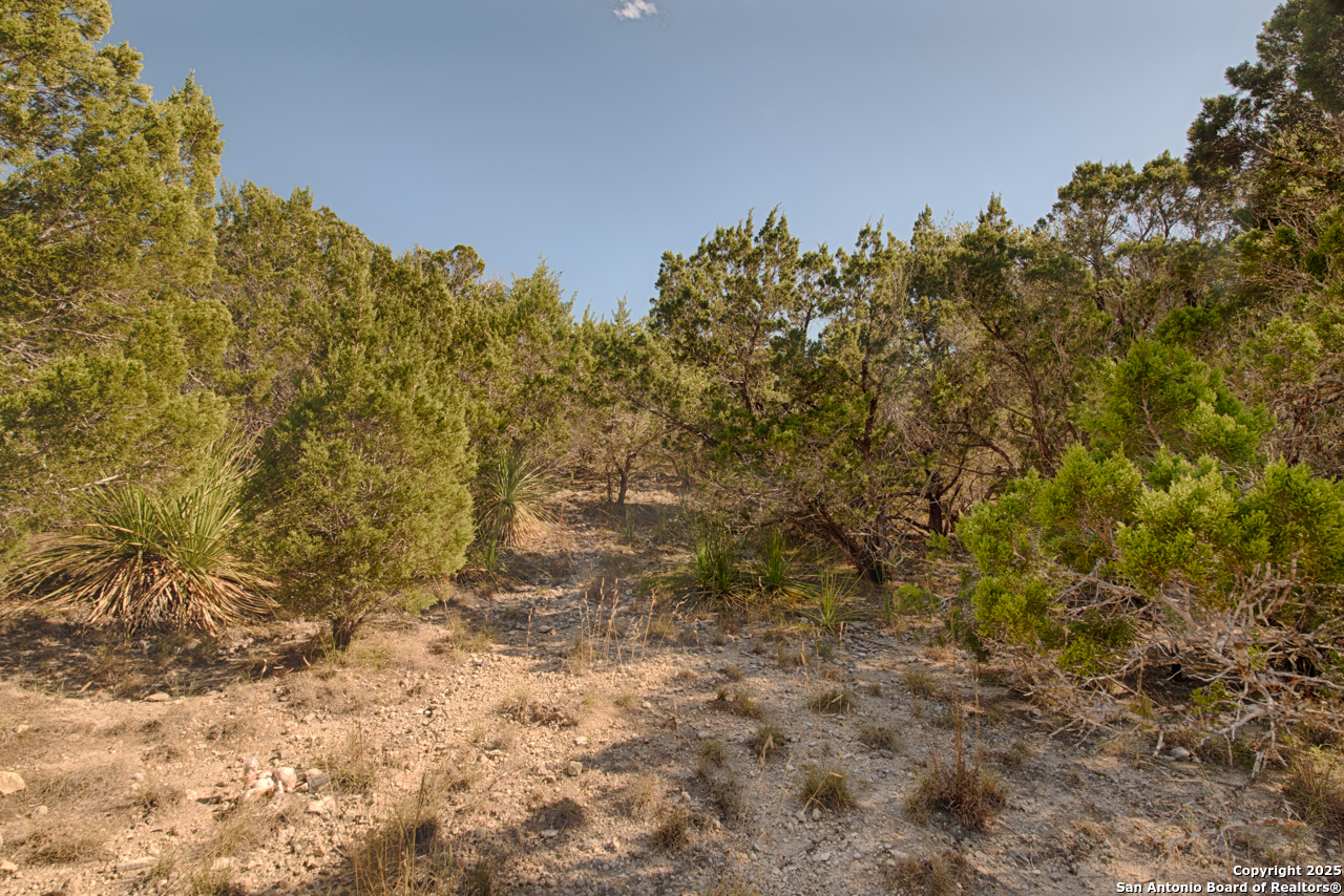 354 Ledgeview Drive Canyon Lake TX 78133
