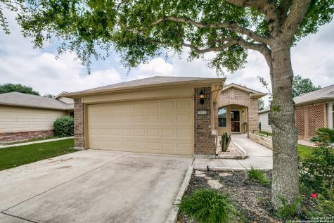 5010 Sandhill Crane San Antonio TX 78253
