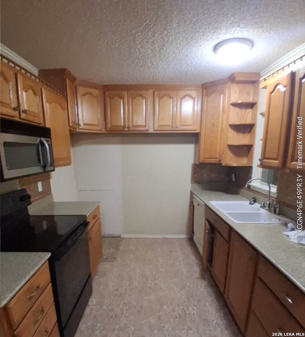 1062 Frost Fire San Antonio TX 78245