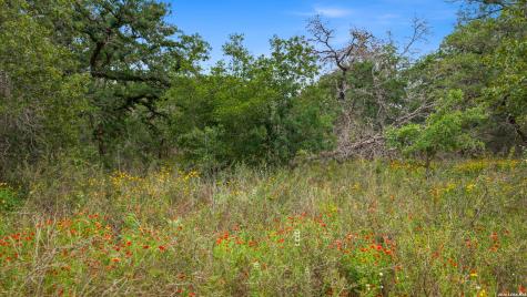205 Sendera Crossing (1.4 Acres) La Vernia TX 78121