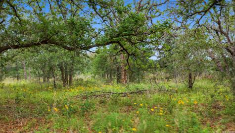 205 Sendera Crossing (1.4 Acres) La Vernia TX 78121