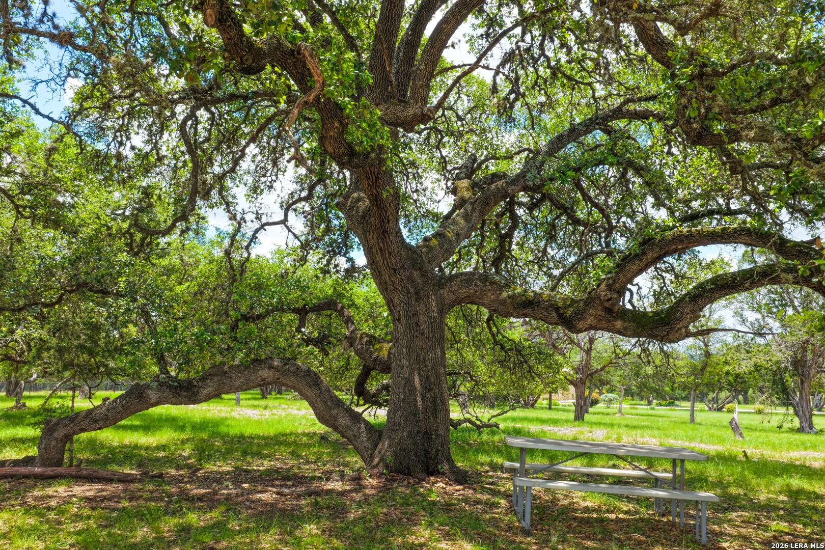 217 Wild Horse Pipe Creek TX 78063