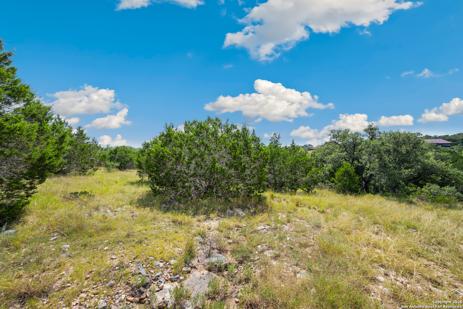 428 Cavy New Braunfels TX 78132