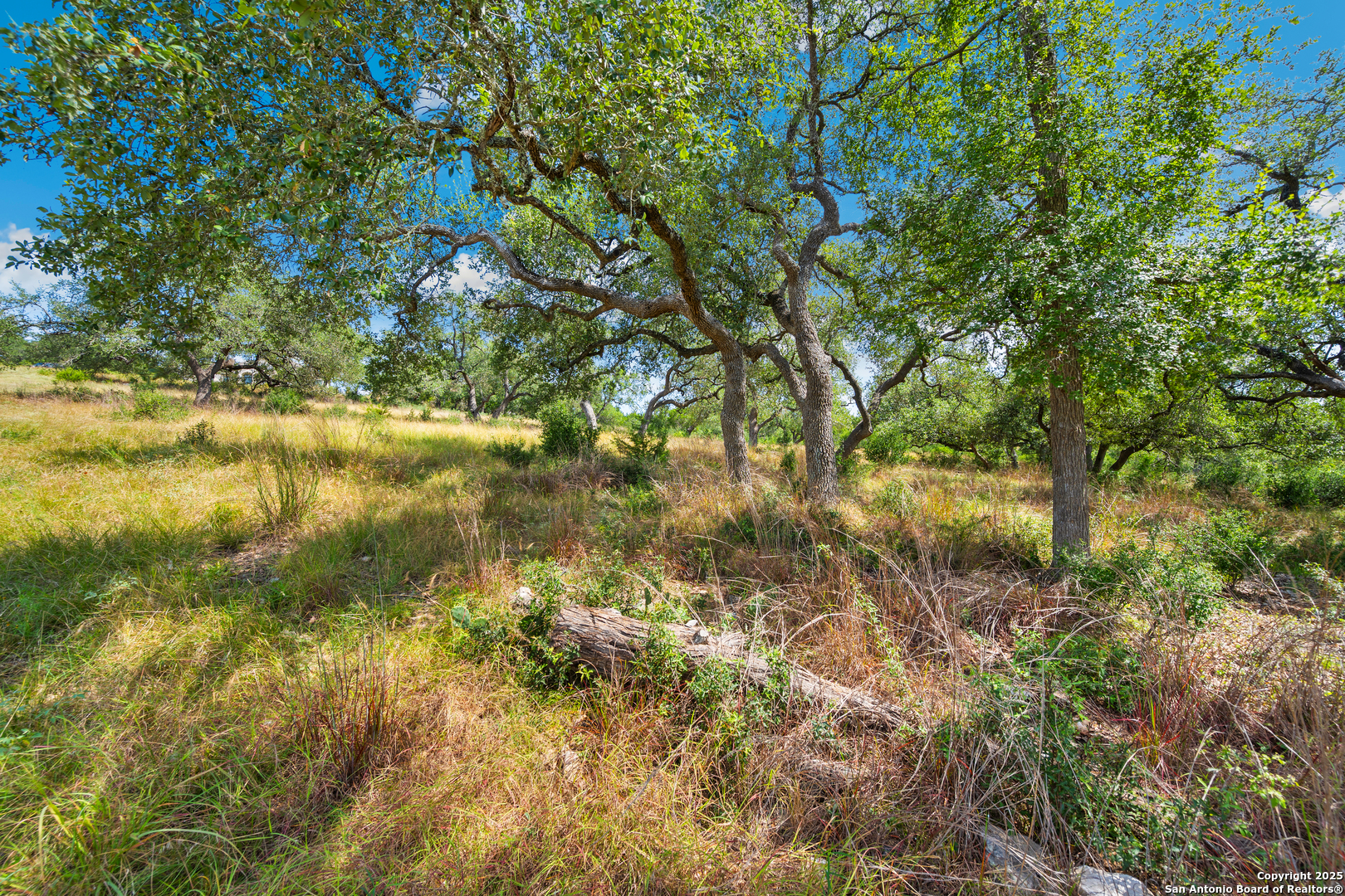 428 Cavy New Braunfels TX 78132