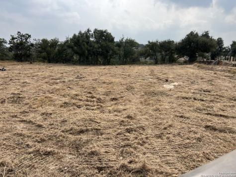 667 Butler Oaks Bulverde TX 78163