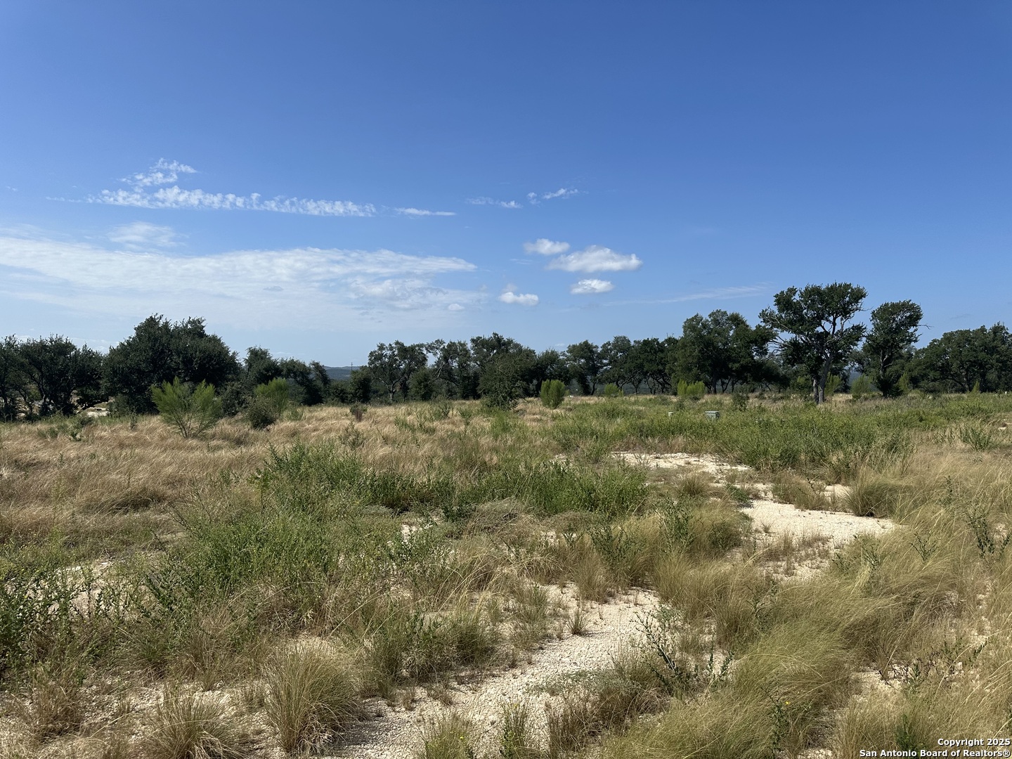 667 Butler Oaks Bulverde TX 78163