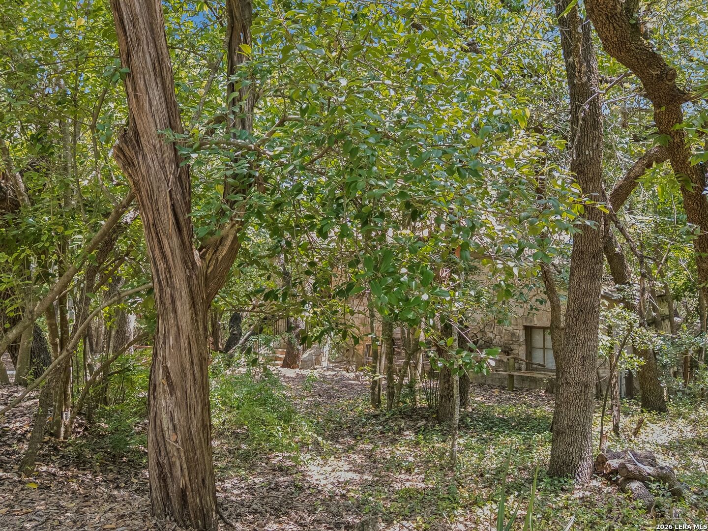 19592 Bluehill Pass Helotes TX 78023