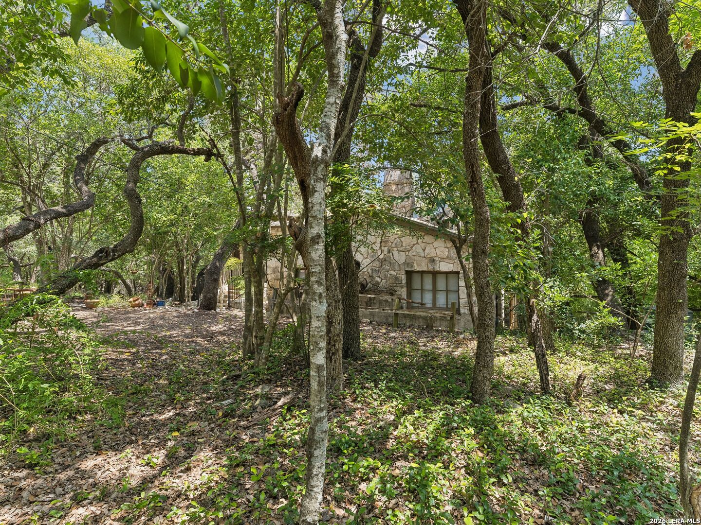 19592 Bluehill Pass Helotes TX 78023