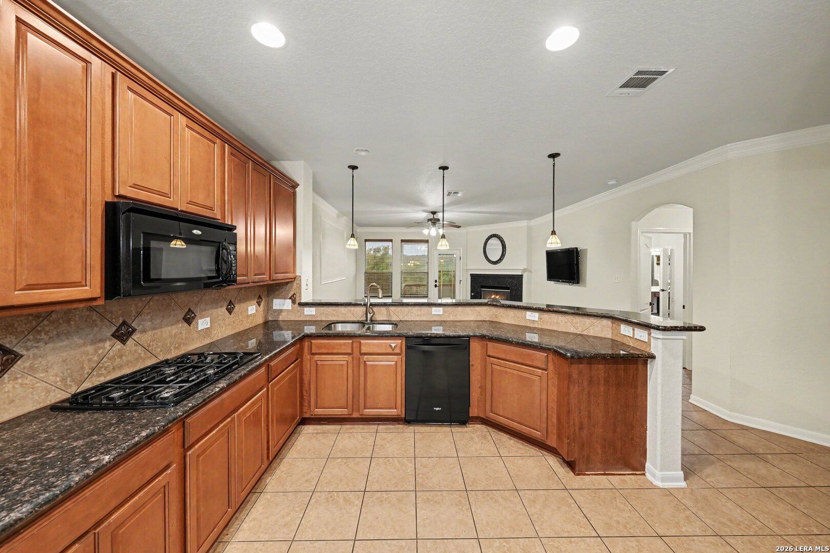 24807 Catalan Cliff San Antonio TX 78261