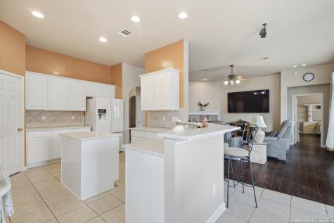 1402 Mesa Creek San Antonio TX 78258