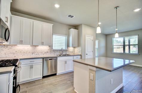 2066 Flametree Avenue New Braunfels TX 78132