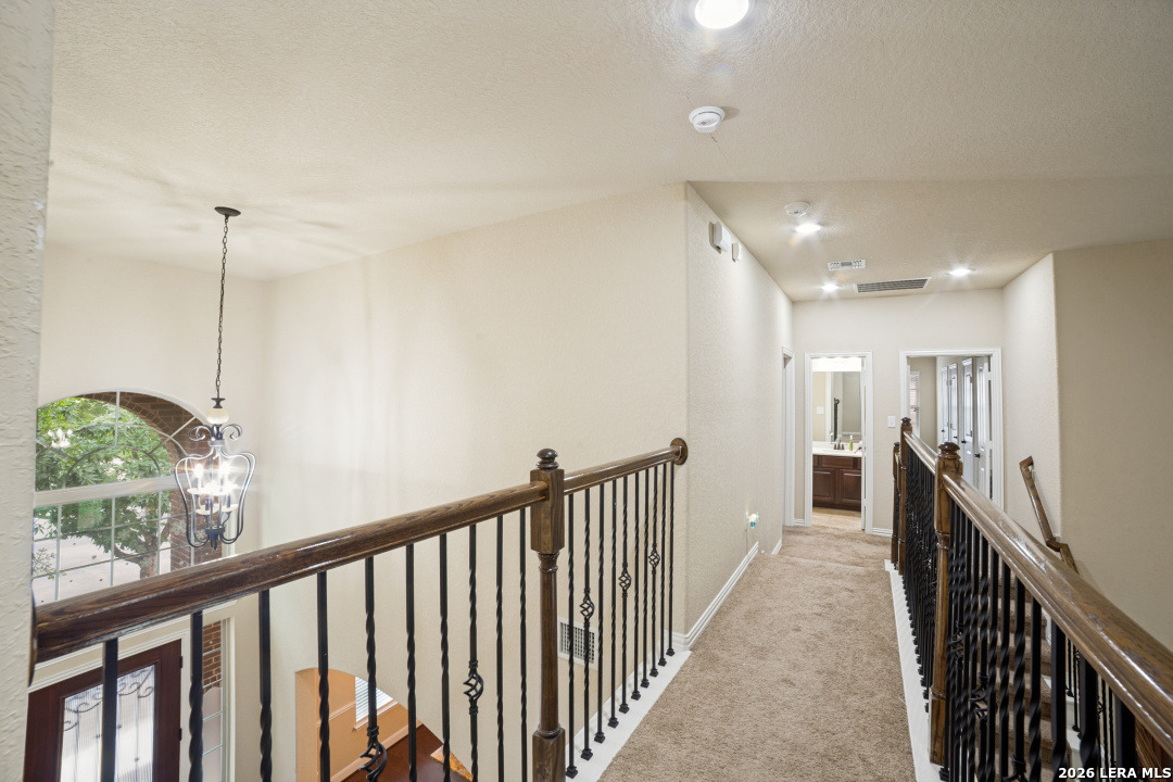 12315 Lexi Petal San Antonio TX 78253