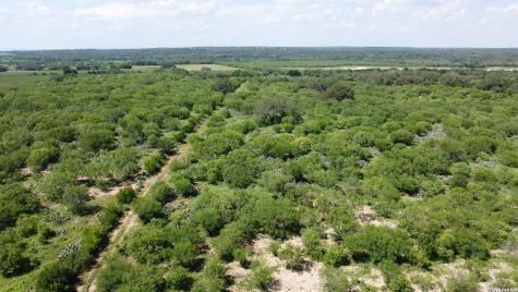 115 Country Lane Castroville TX 78009