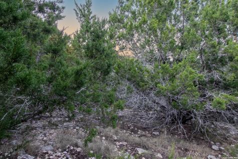 197 NW Hills Drive Kerrville TX 78028