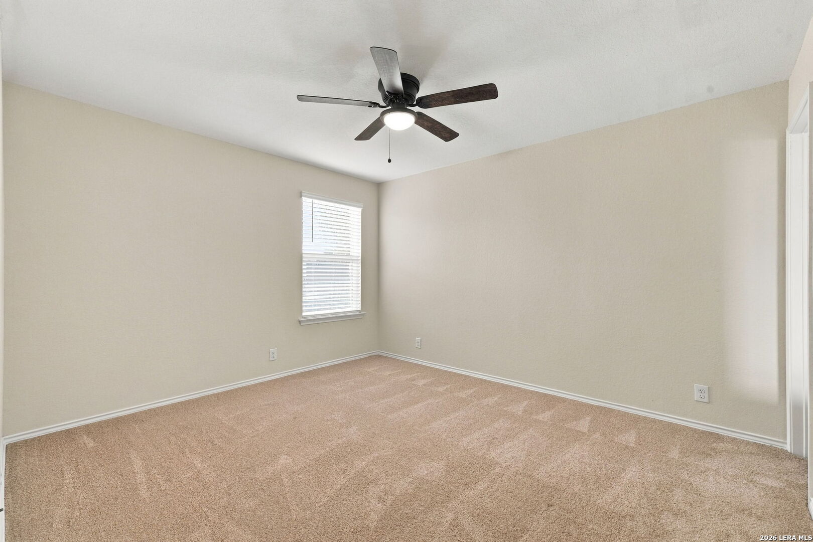 314 Moscovy Duck San Antonio TX 78253