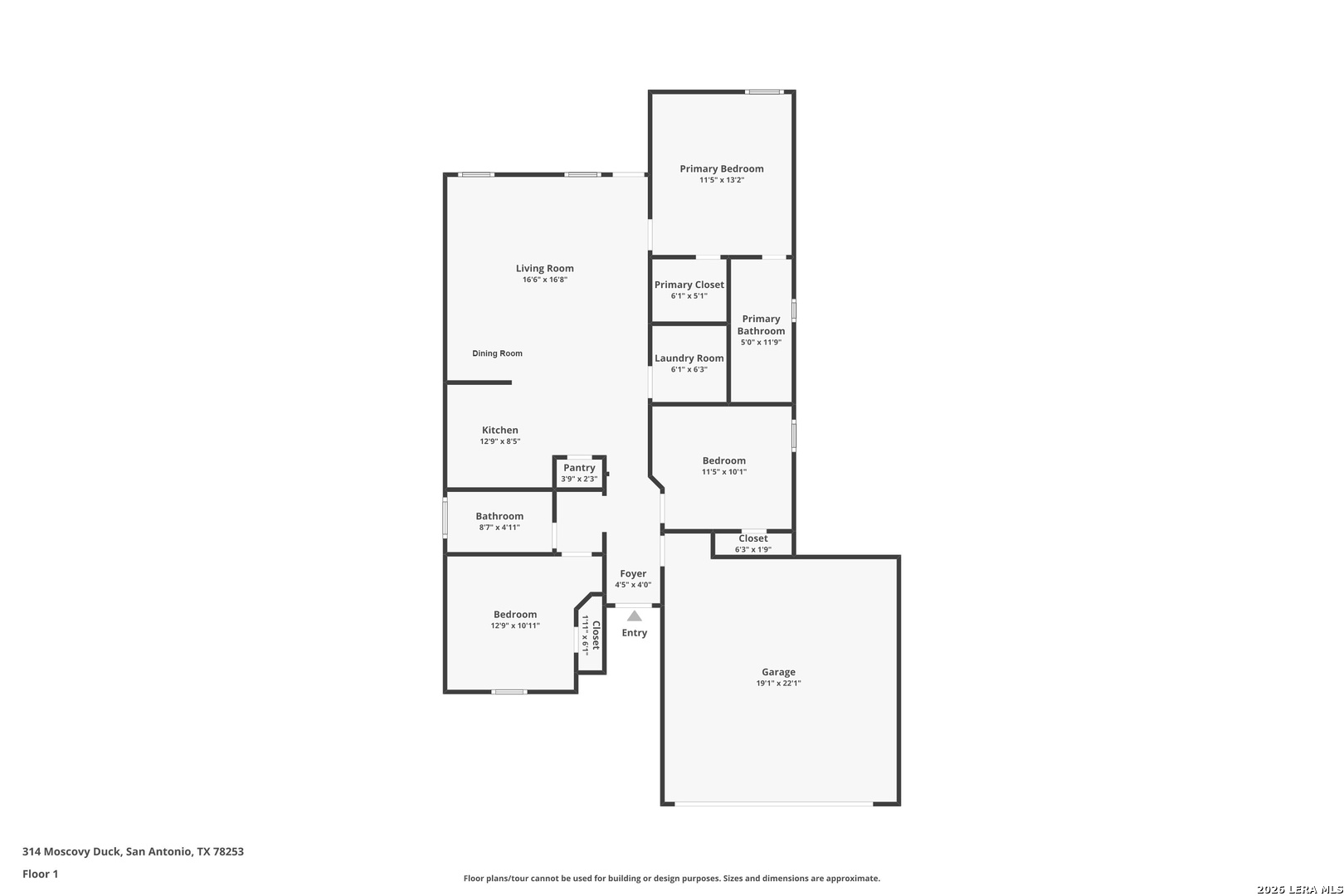 314 Moscovy Duck San Antonio TX 78253