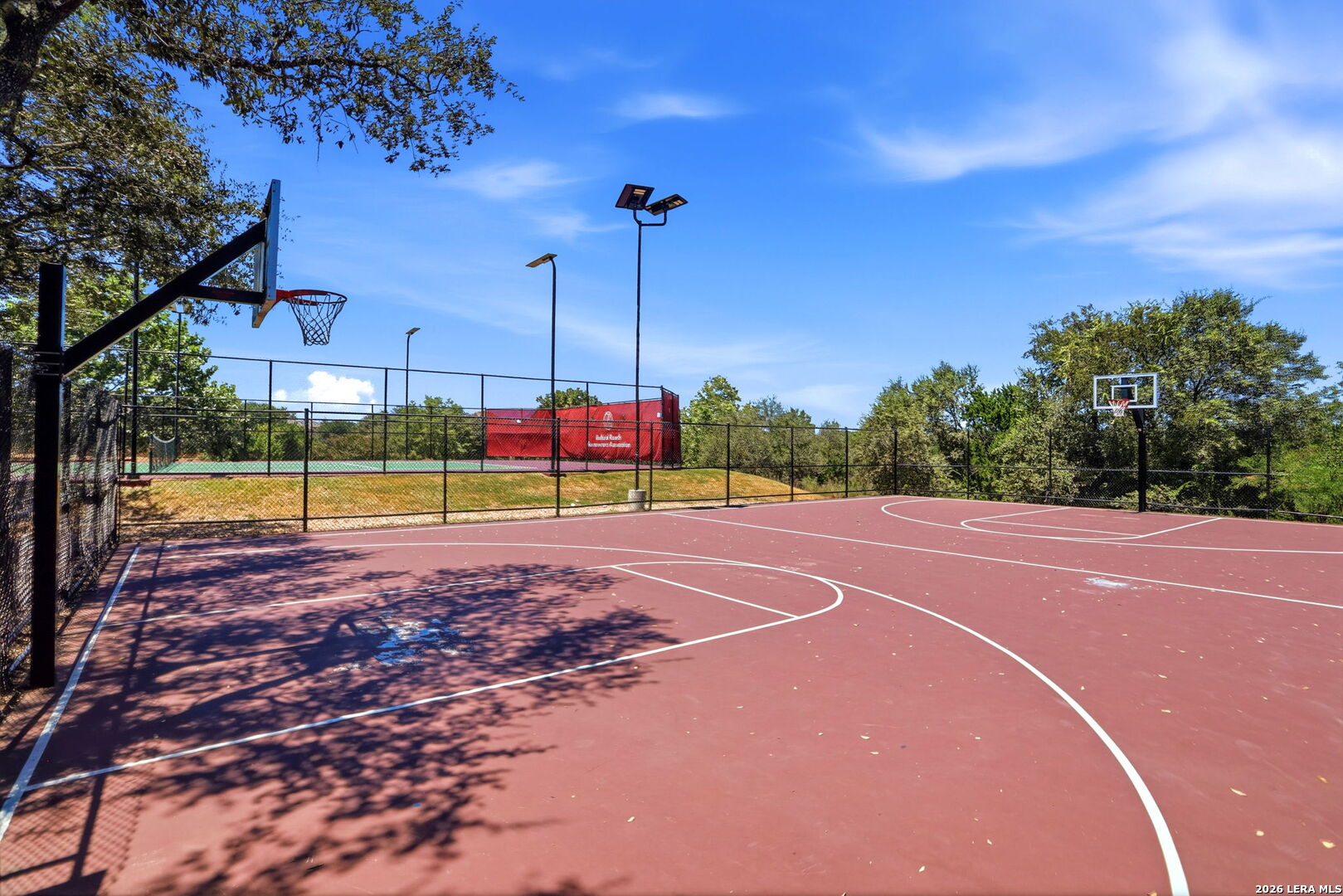 314 Moscovy Duck San Antonio TX 78253