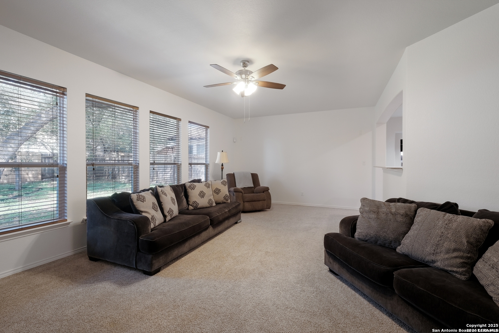 25511 Echo Springs San Antonio TX 78260