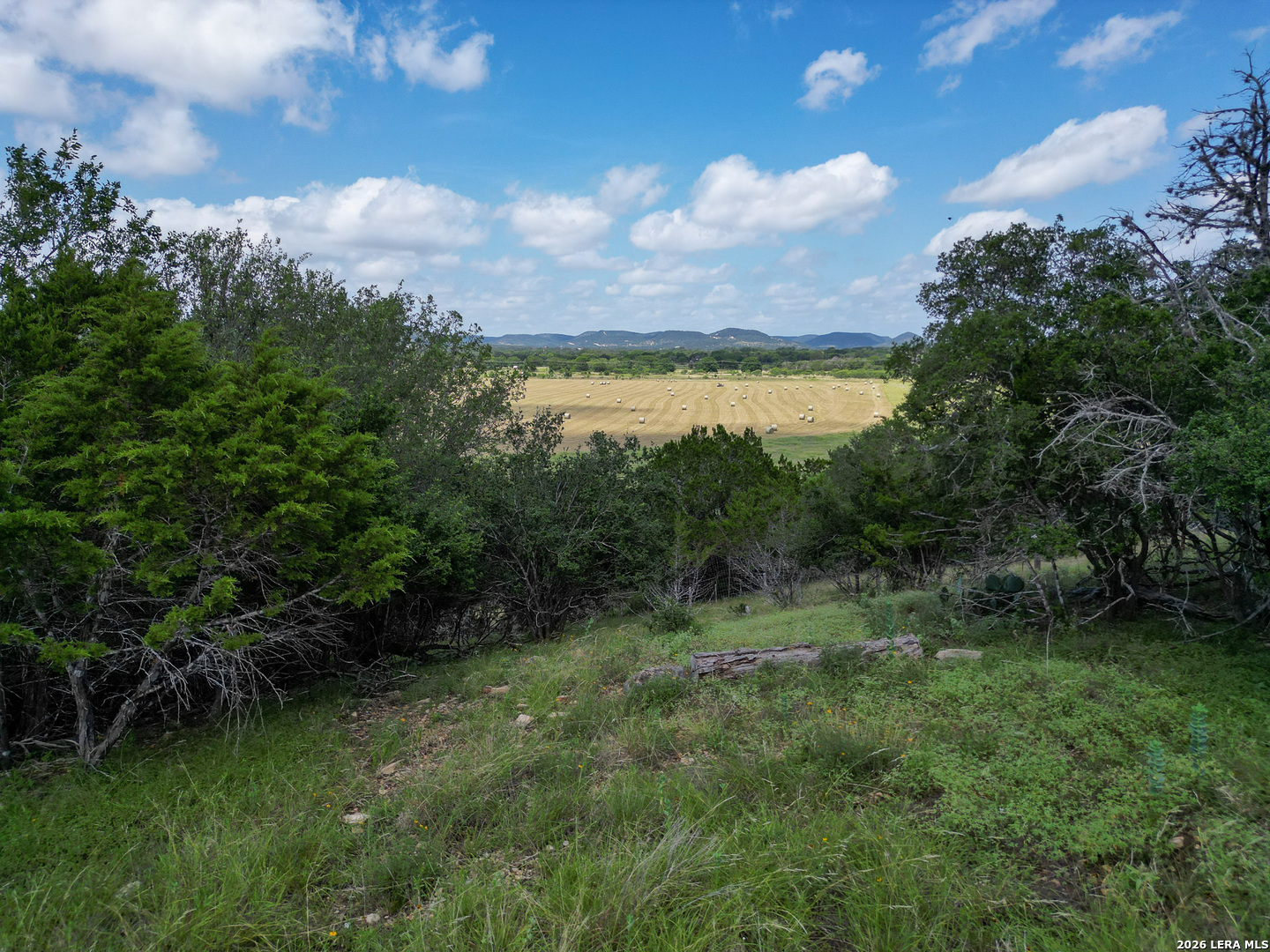 13132 State Highway 16 N Medina TX 78055