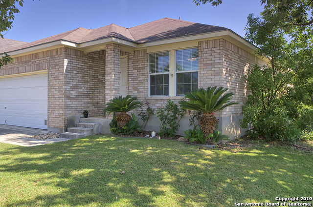 11003 Dublin Briar San Antonio TX 78254