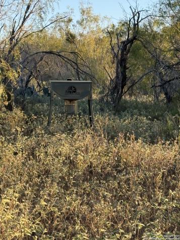 137 Viridian View Pleasanton TX 78064