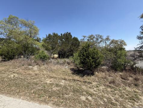 1123 Alta Vista Canyon Lake TX 78133