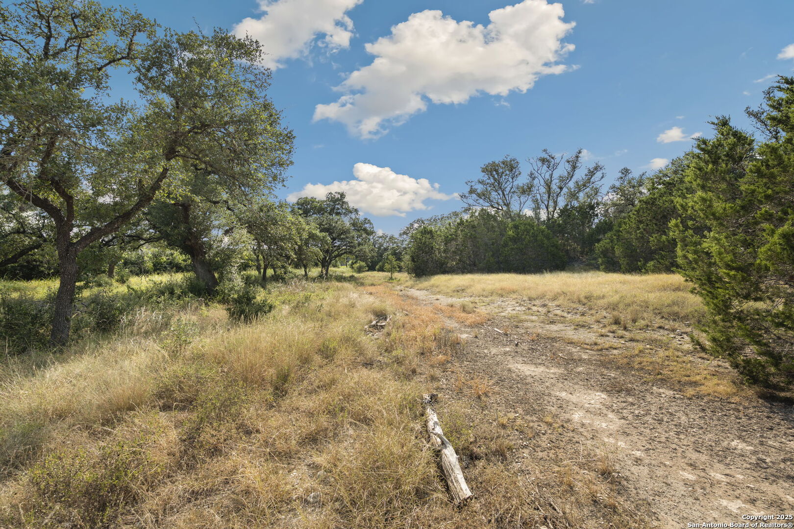 1732 Herbelin New Braunfels TX 78132