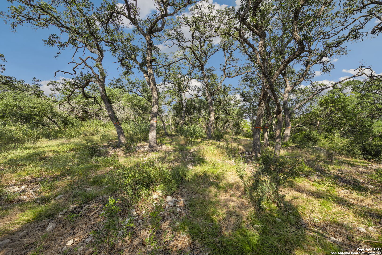1732 Herbelin New Braunfels TX 78132