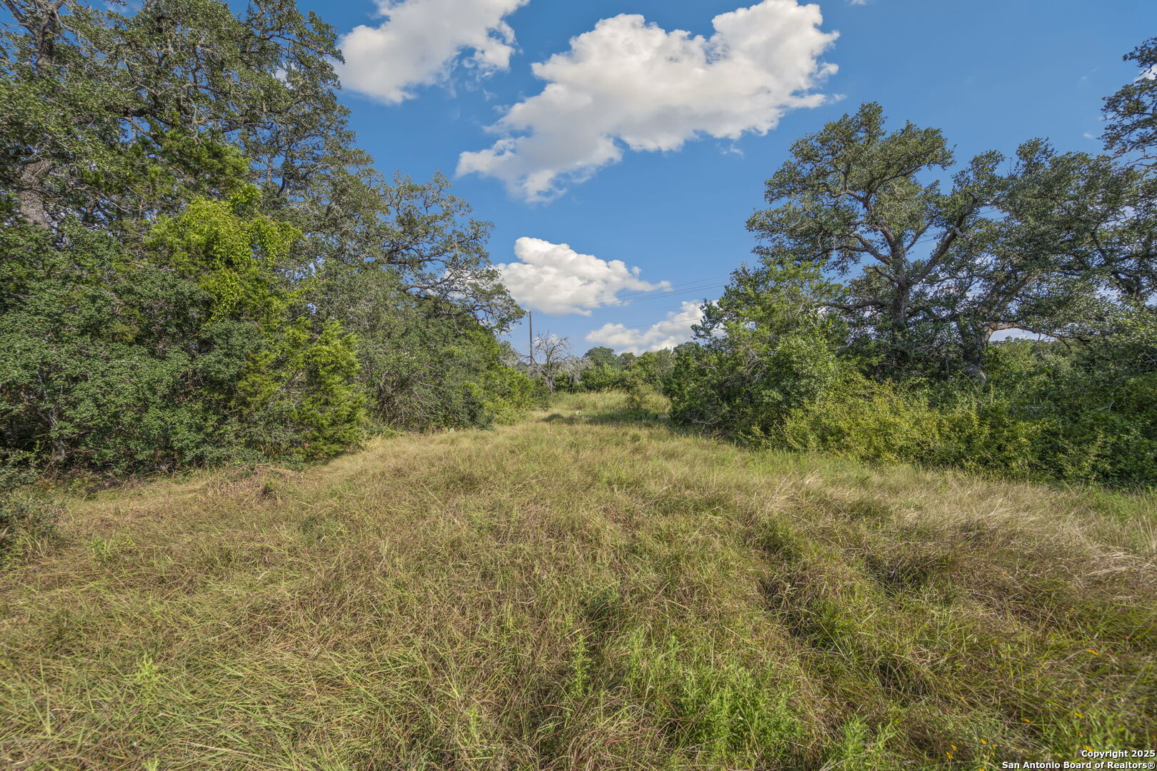 1732 Herbelin New Braunfels TX 78132