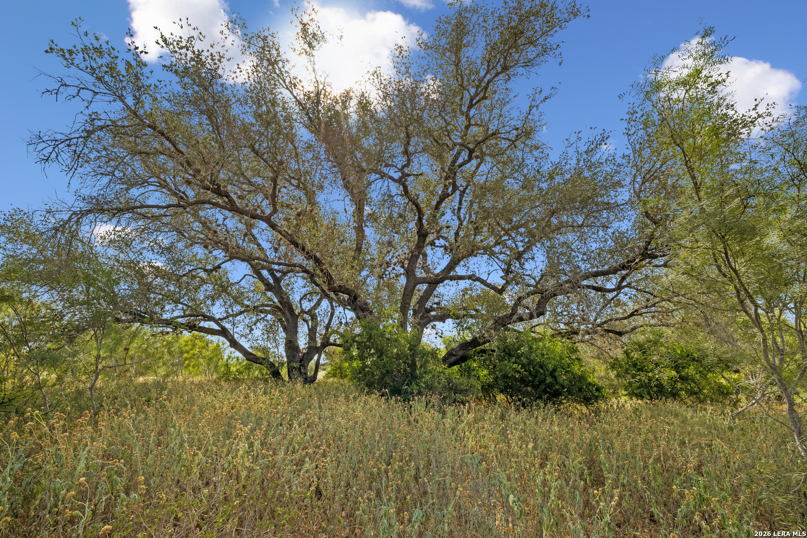 466 County Road 742 Yancey TX 78886