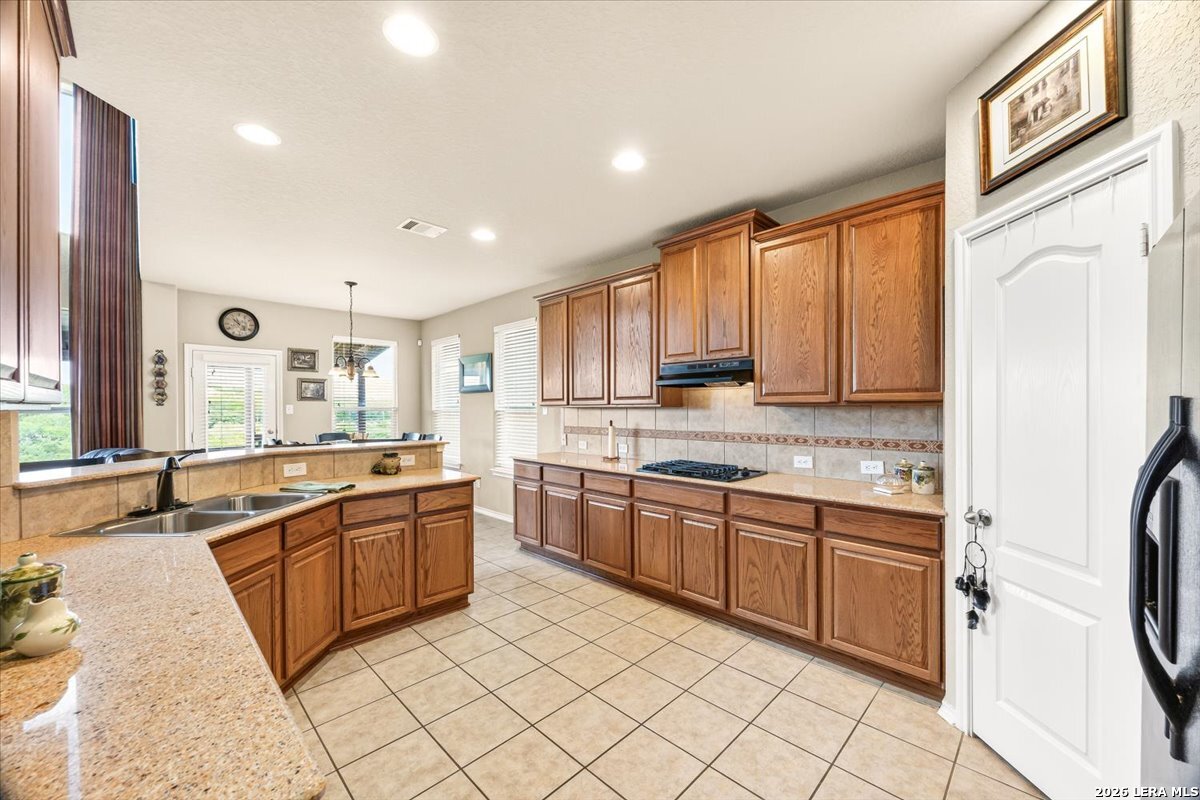24819 Catalan Cliff San Antonio TX 78261