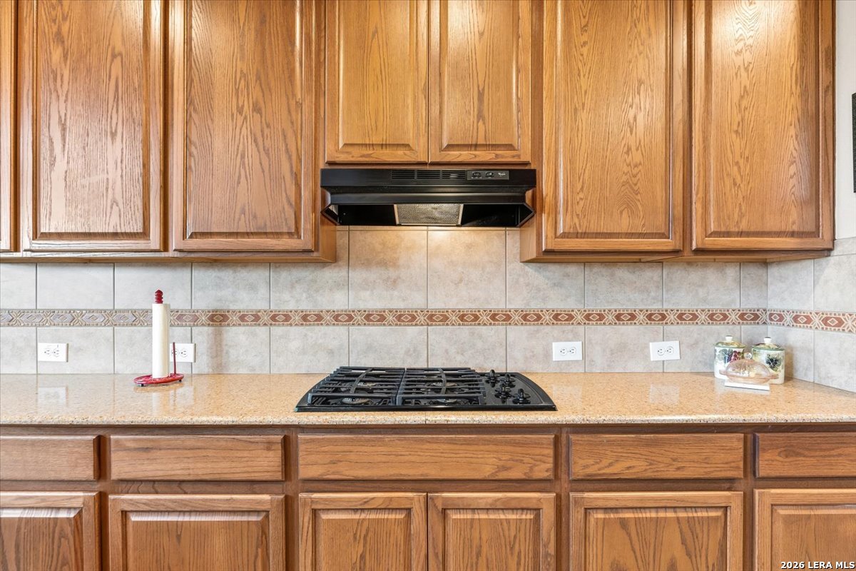 24819 Catalan Cliff San Antonio TX 78261