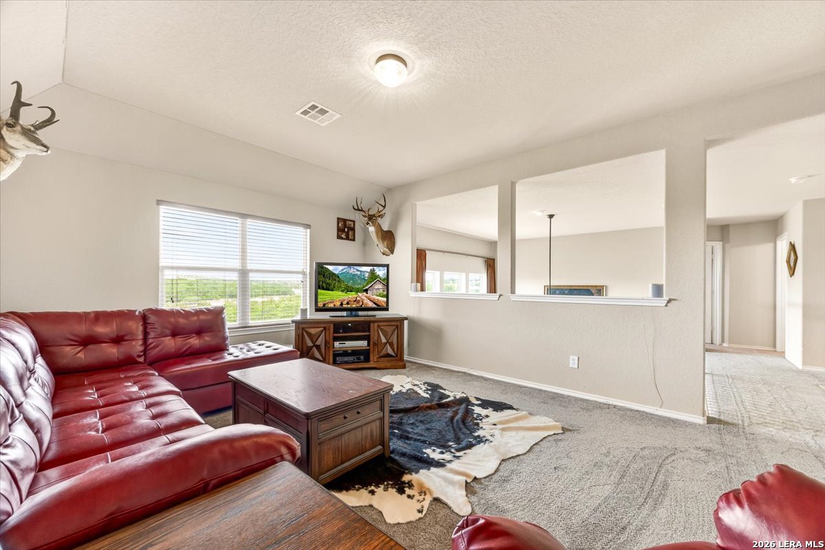 24819 Catalan Cliff San Antonio TX 78261