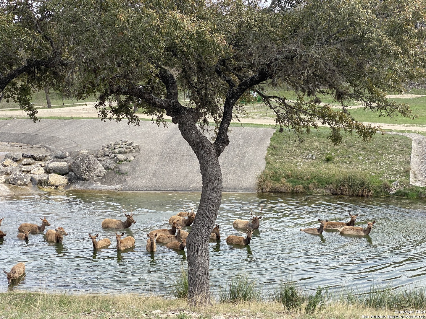 56 W Red Stage Pipe Creek TX 78063