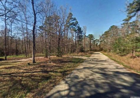 Tbd Austin Road Willis TX 77378