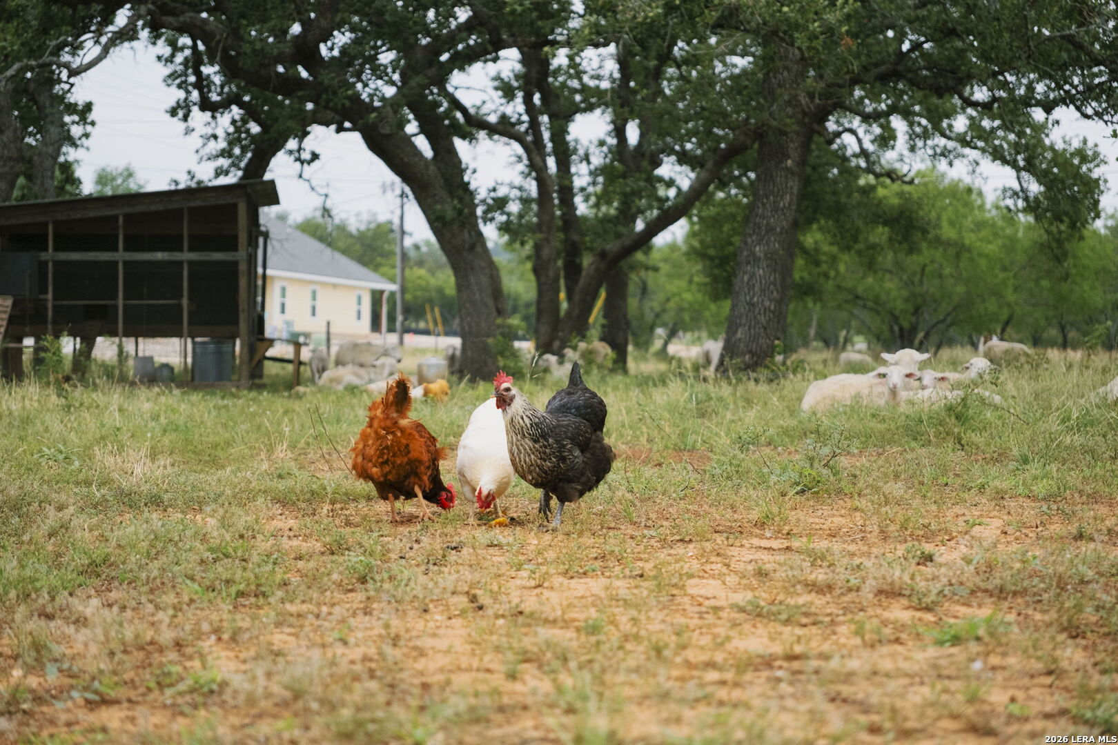 271 Smokehouse Road Fredericksburg TX 78624