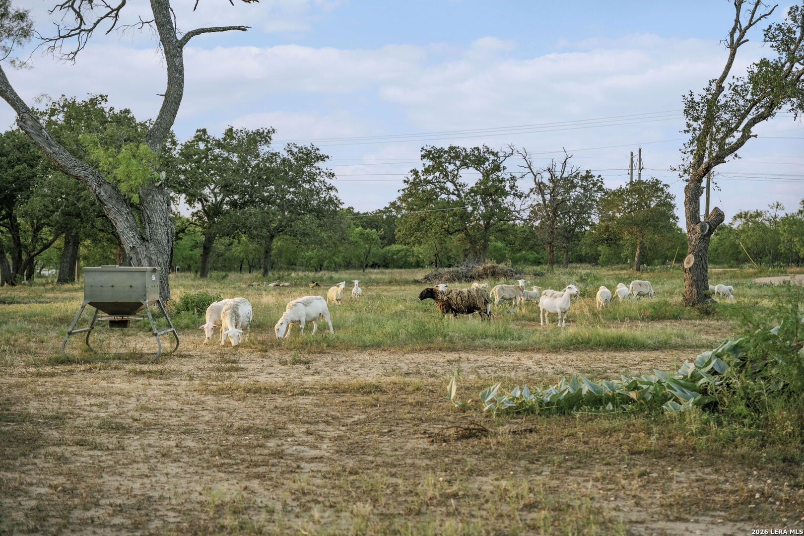 271 Smokehouse Road Fredericksburg TX 78624